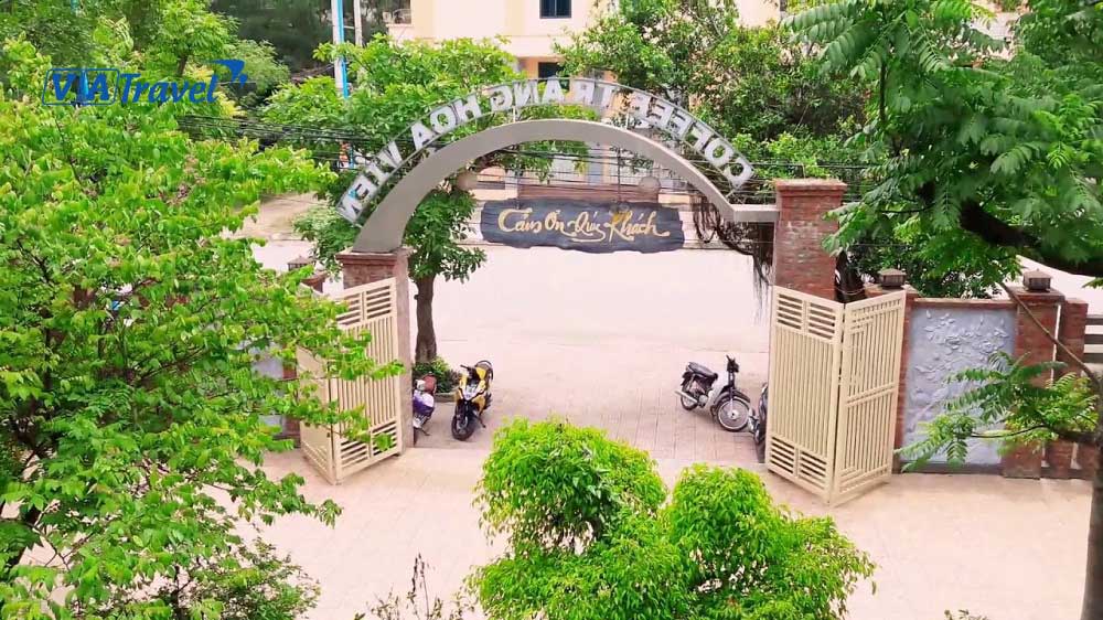 Ăn gì ở Cửa Lò? Review những món đặc sản và những địa chỉ ăn uống được nhiều người “săn lùng”