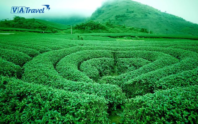 DU LỊCH MỘC CHÂU SƠN LA MÙA NÀO LÀ ĐẸP NHẤT?
