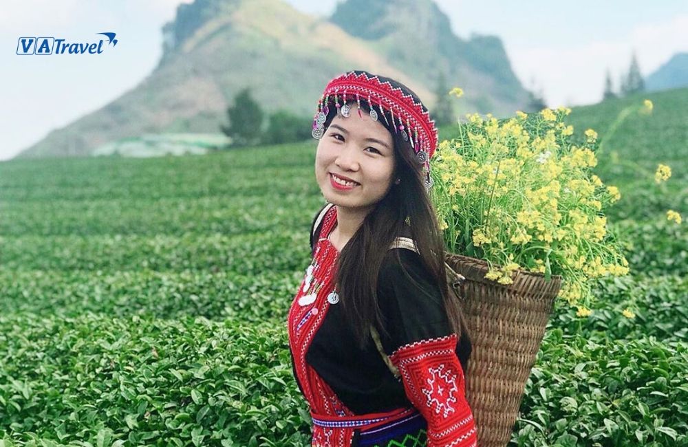 Check in đồi chè Mộc Châu