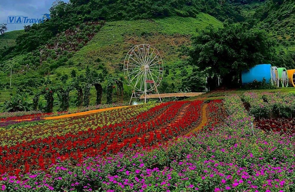Thiên nhiên rực rỡ sắc màu ở Happy Land