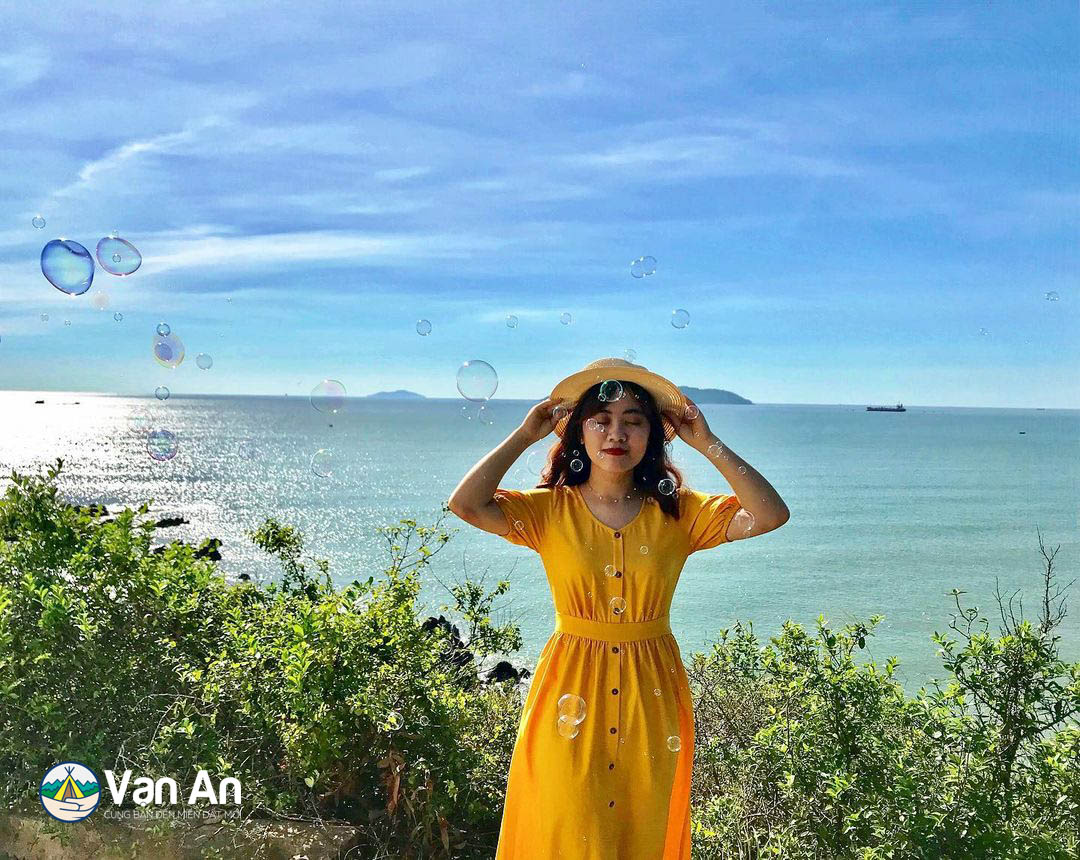 null null