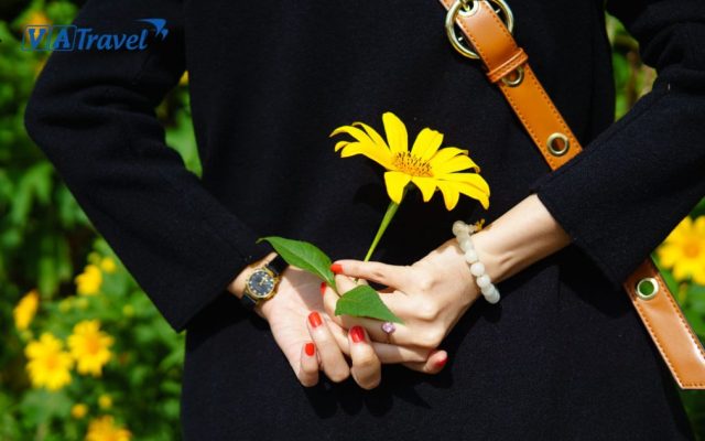 Vẻ đẹp bình dị của các mùa hoa Mộc Châu!